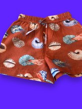 Shell Print Boy Swimwear