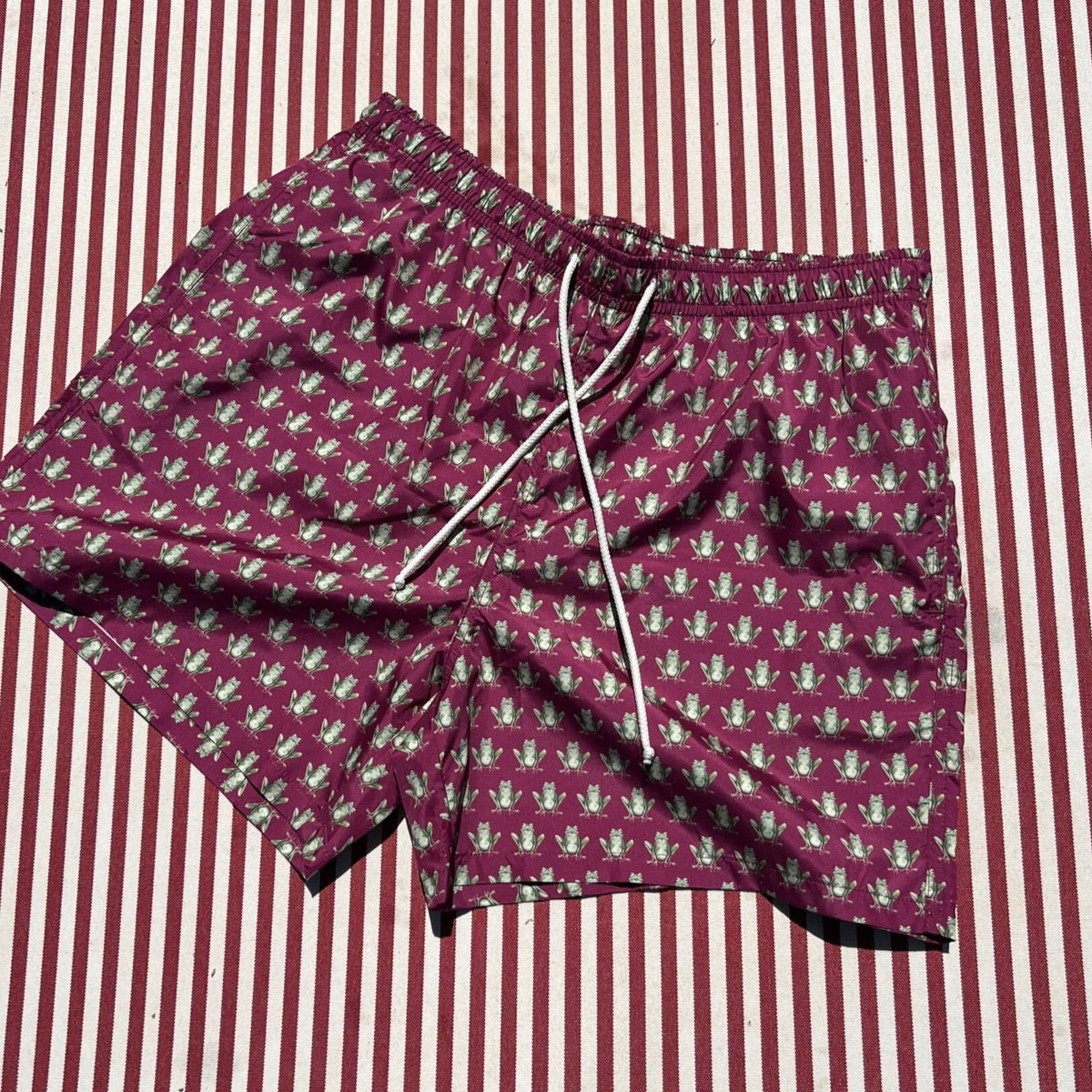 Mens Frog-Print Swim Shorts