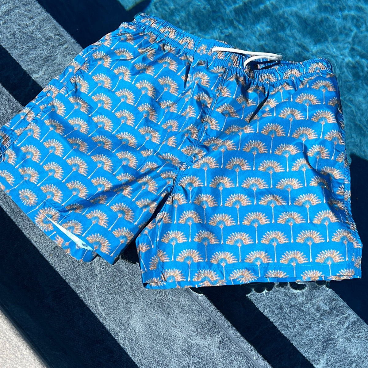 Mens Palm-Print Swim Shorts